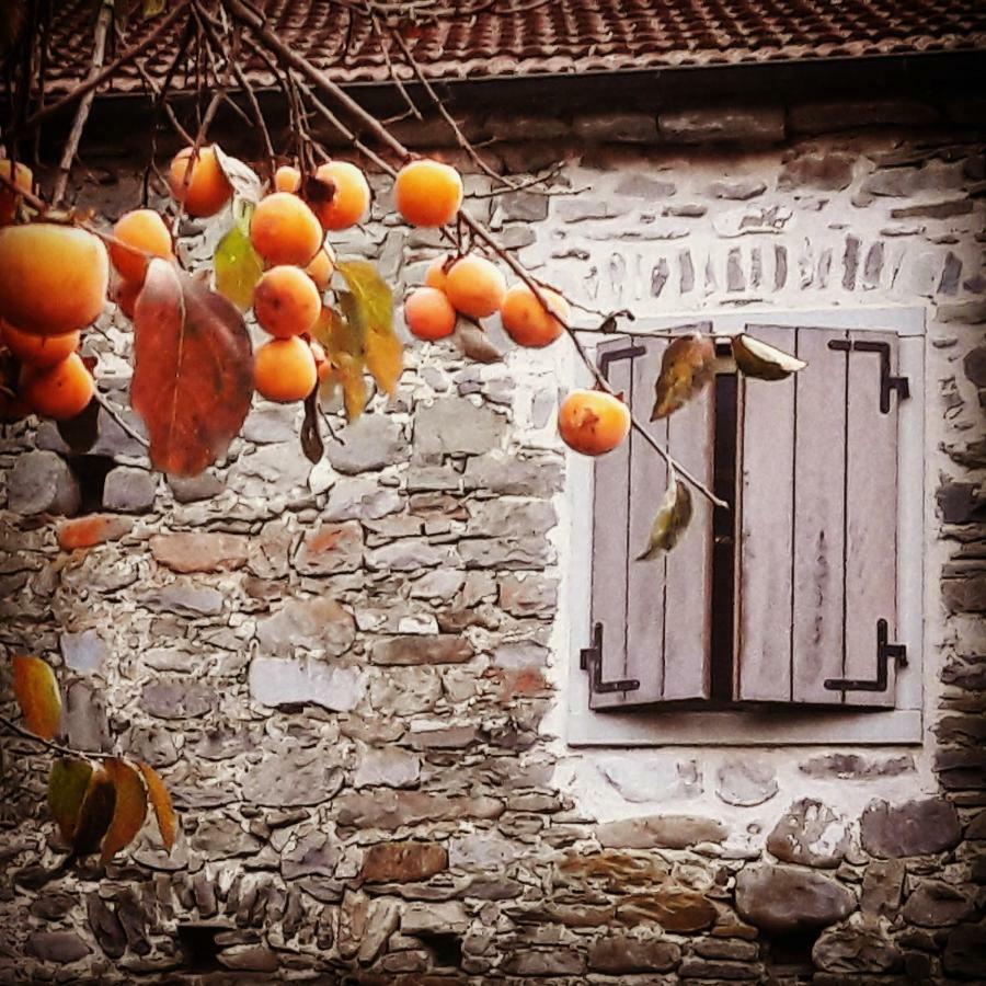 Ai Chiosi Affittacamere Pontremoli Exterior foto